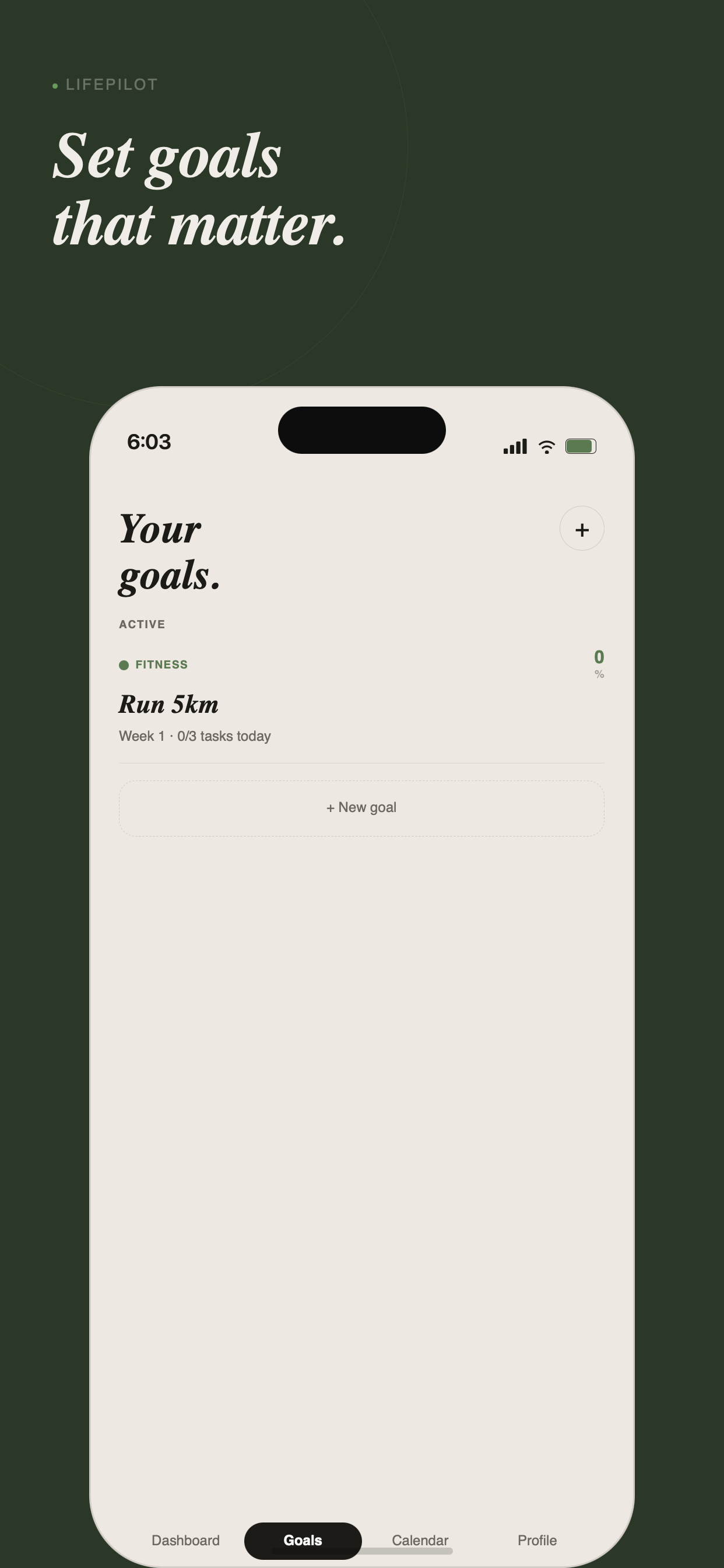LifePilot goals screenshot